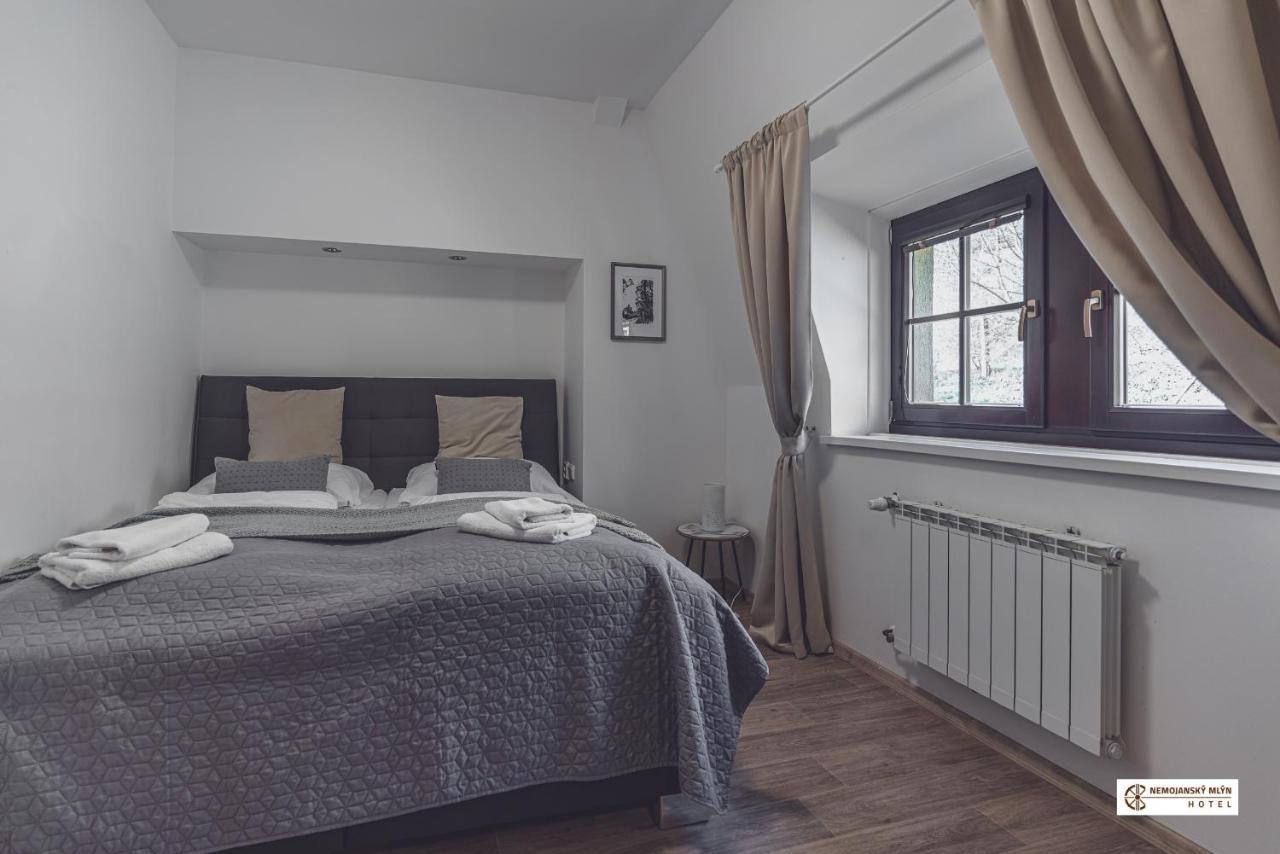 Hotel Nemojansky Mlyn Nemojany Extérieur photo